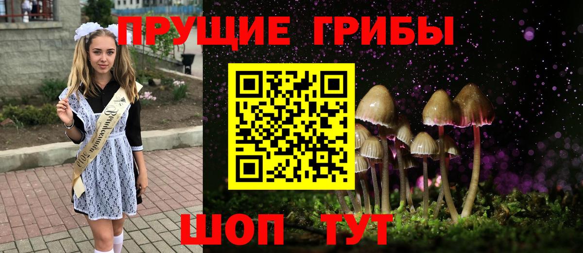 Псилоцибиновые грибы Magic Shrooms  Вход с VPN  Майкоп 