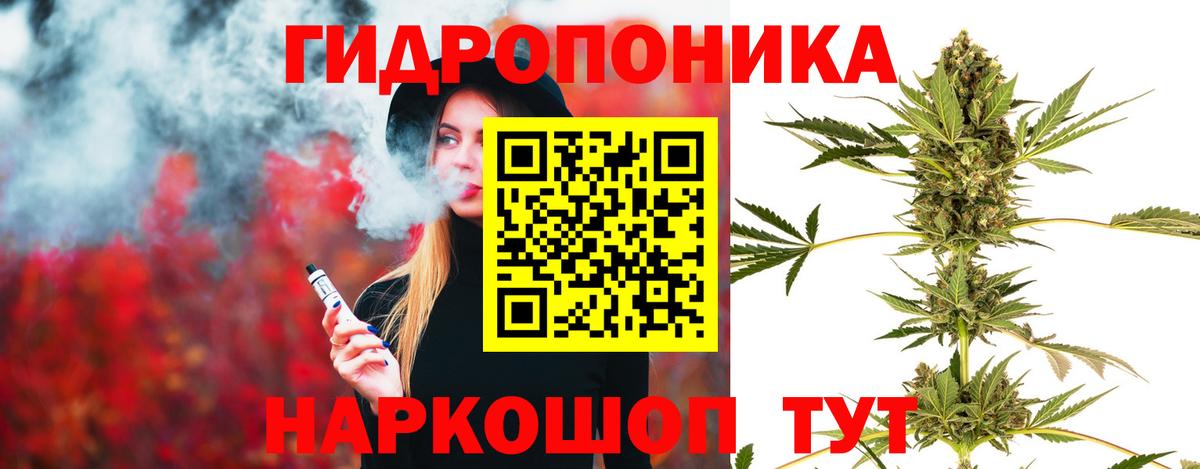 Каннабис VHQ  Вход с VPN  Майкоп  Канабис White Widow 